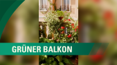 thumbnail of medium Grüner Balkon 5 Hacks für mehr Klima auf kleinem Raum