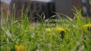 thumbnail of medium Imagefilm BCM 2023