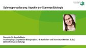 Aspekte der Stammzellbiologie (Wahlpflichtfach ANB/MTZ) - Schnuppervorlesung