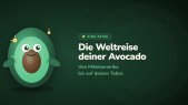 thumbnail of medium Avocados  Superfood mit Nebenwirkungen?