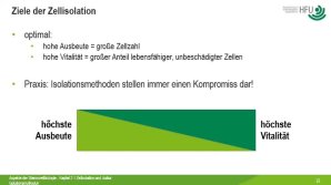 thumbnail of medium Zellisolation - Aspekte der Stammzellbiologie - Vorlesung 4