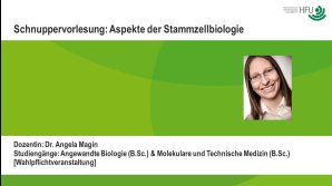 thumbnail of medium Aspekte der Stammzellbiologie (Wahlpflichtfach ANB/MTZ) - Schnuppervorlesung