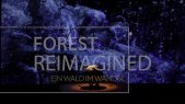 thumbnail of medium Forest Reimagined